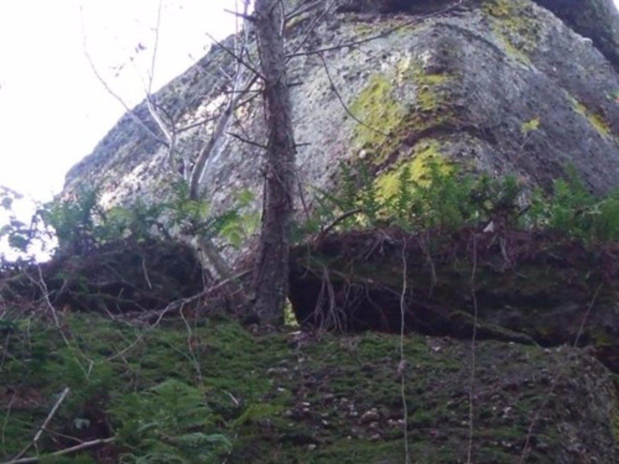 Auberge D'Hotes L'Instant Le Hohwald Exteriér fotografie