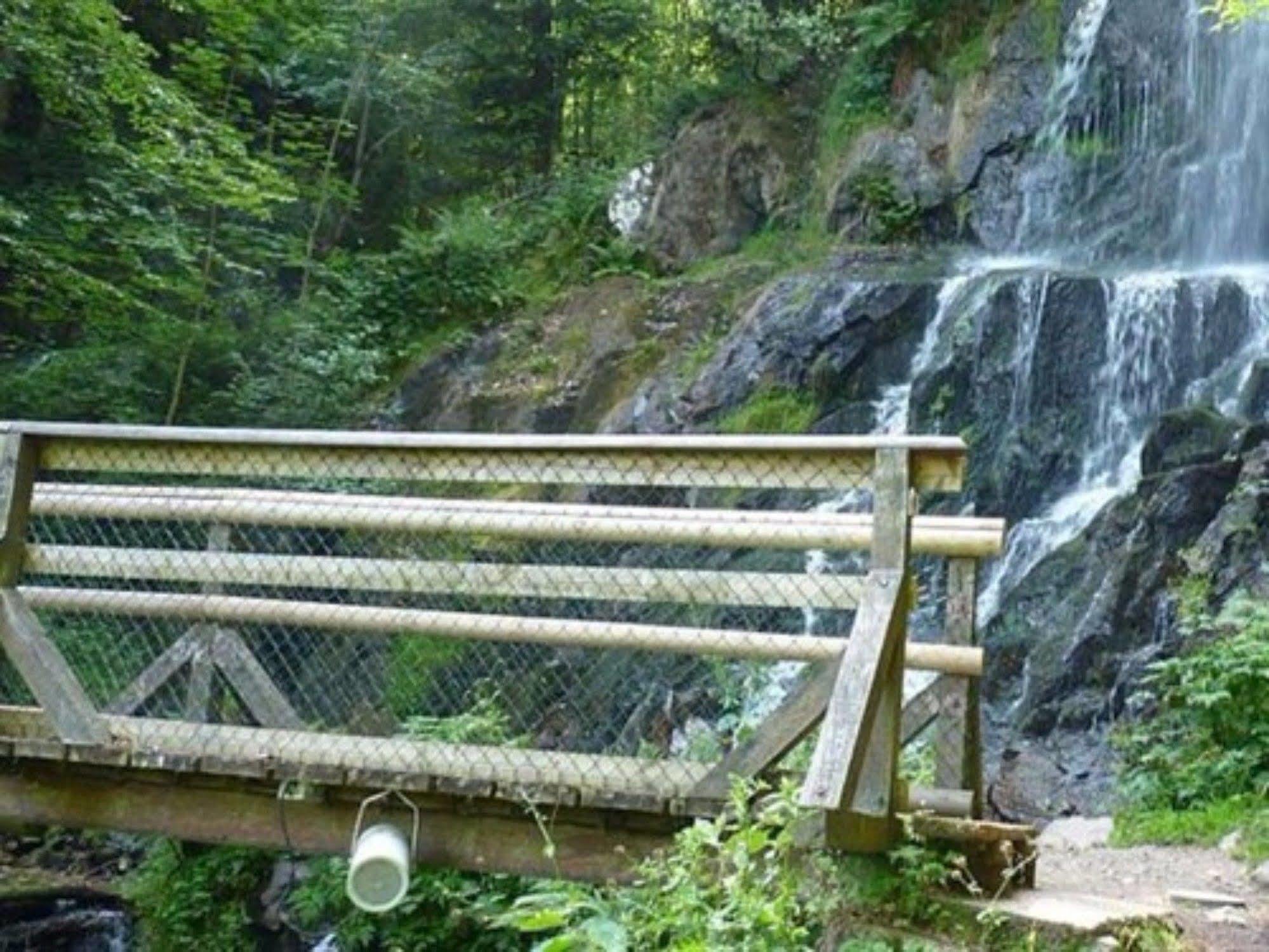 Auberge D'Hotes L'Instant Le Hohwald Exteriér fotografie